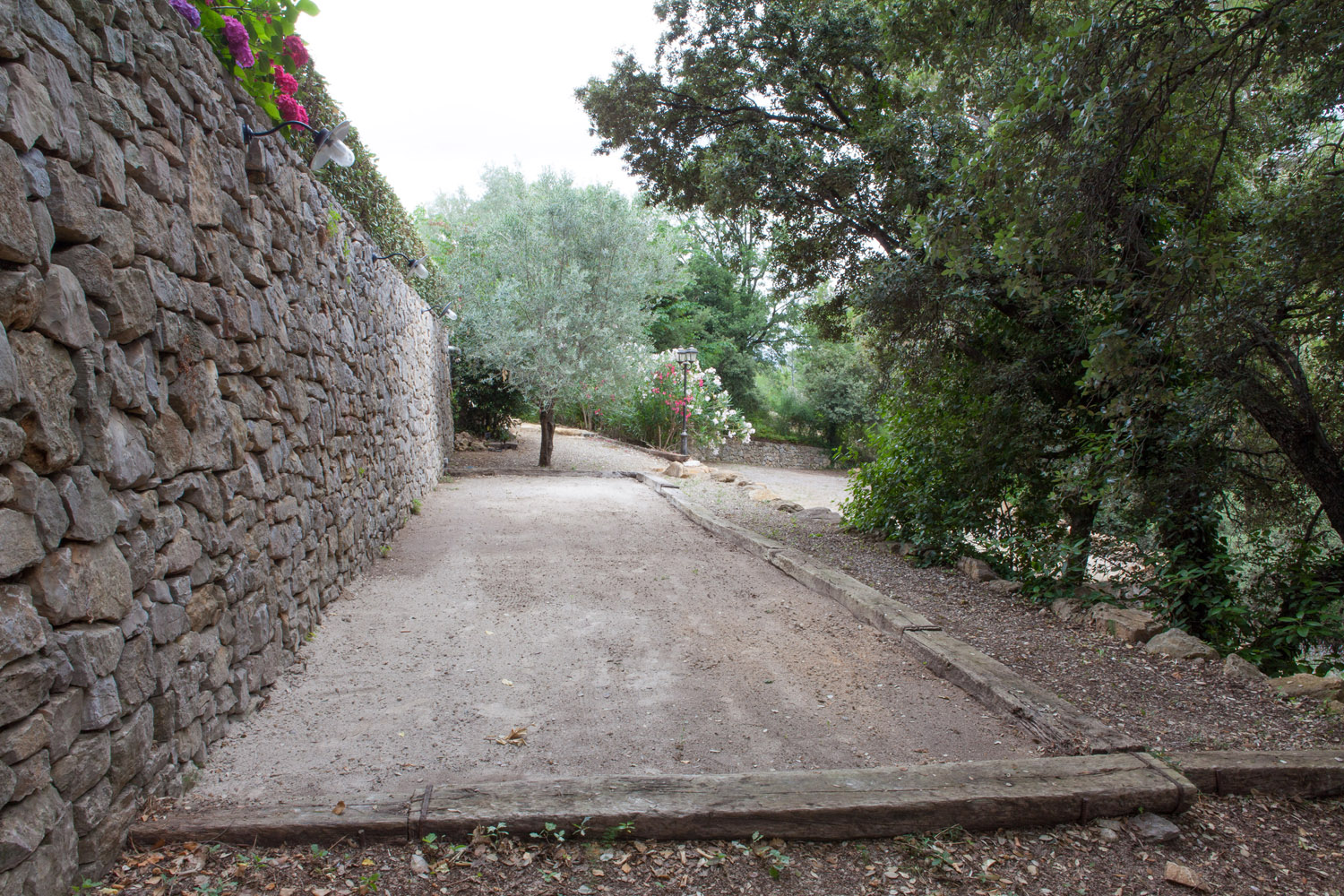 37_La figuiere Monteou