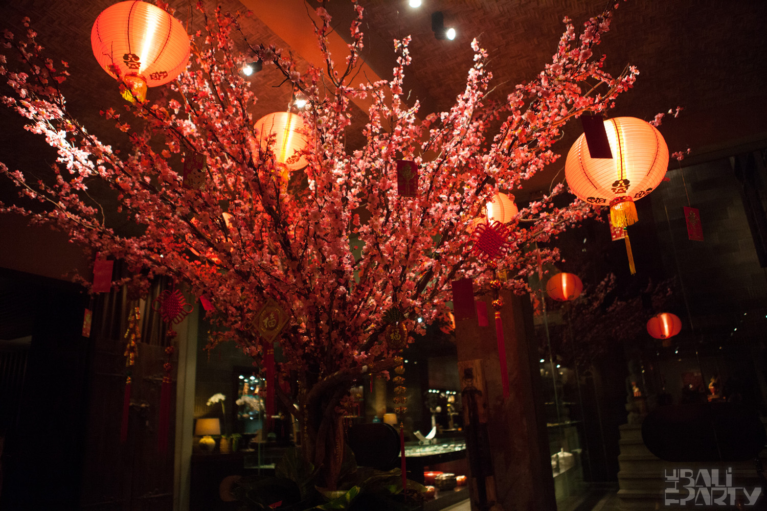 008_BOUDOIR CHINOIS @Métis 2015-02-21