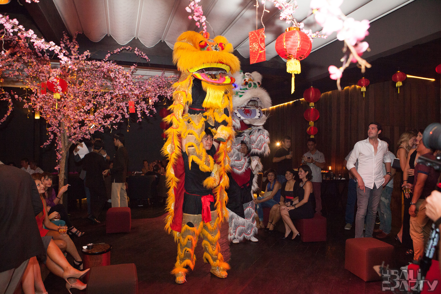 056_BOUDOIR CHINOIS @Métis 2015-02-21