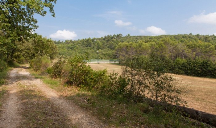 03_La figuiere Monteou