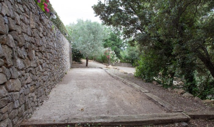 37_La figuiere Monteou